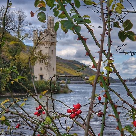 Ferienwohnung Rheinblick Bingen am Rhein Εξωτερικό φωτογραφία
